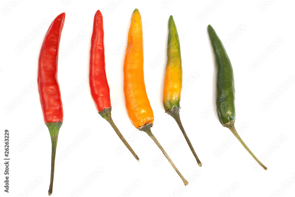 Multicoloured chili peppers
