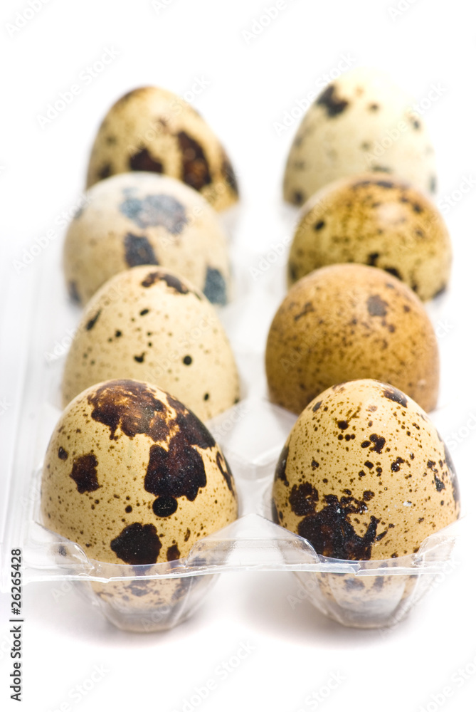 Fototapeta premium quail eggs isolated