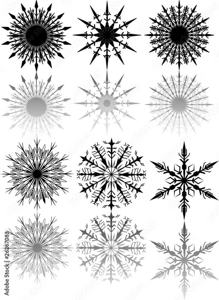 six black snowflakes with reflection six black snowflakes with reflection