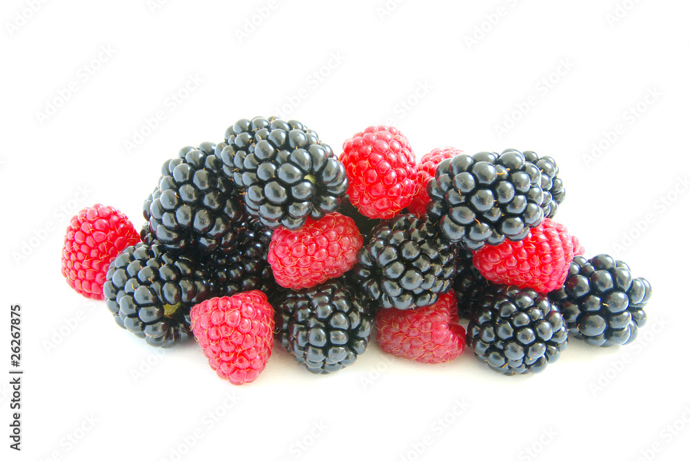 blackberry and raspberry blackberry and raspberry