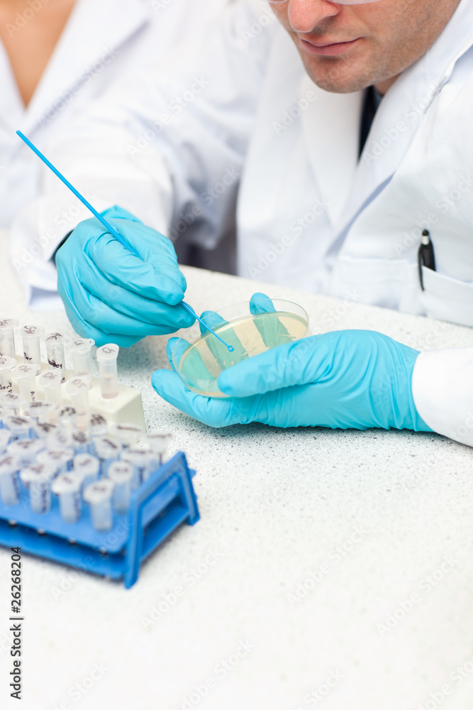 Fototapeta premium Caucasian male scientist holding samples