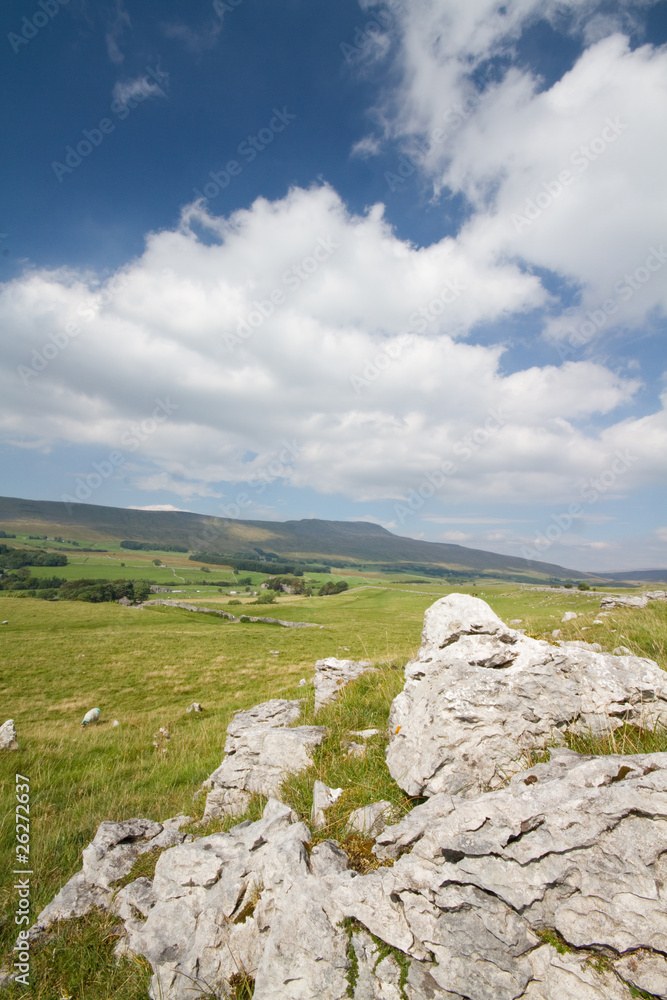 Limestone Pavement