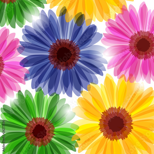 Bright daisy flowers in sunlight (background)