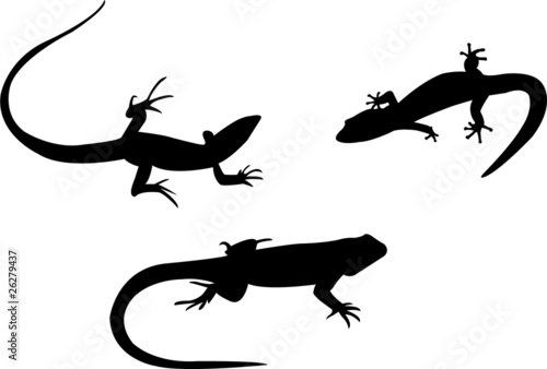 lizards silhouette collection vector