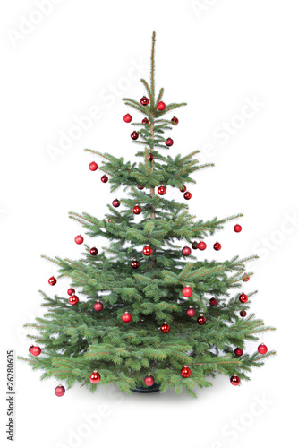 Weihnachtsbaum