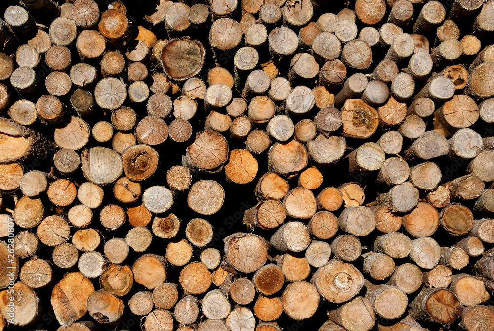Fototapeta premium Firewood Background