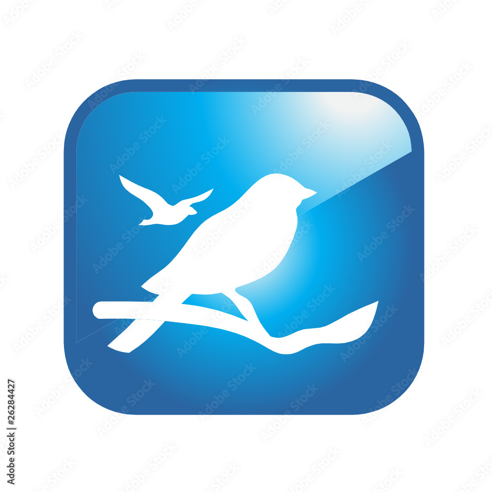 Fototapeta premium bird observatory