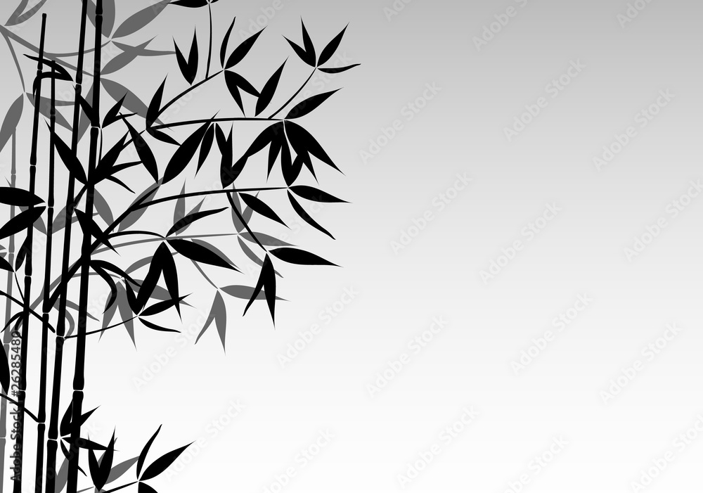 Obraz premium Bamboo background, vector