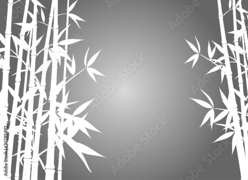 Bamboo background, vector