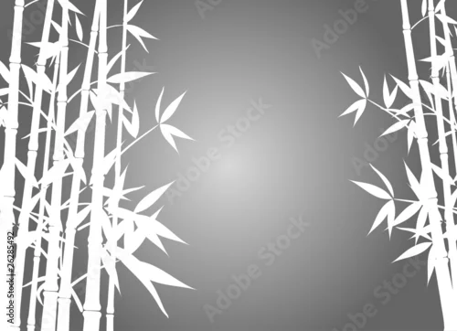 Obraz Bambusowy tło, wektor