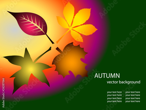 abstract autumn tree and leaves illustration