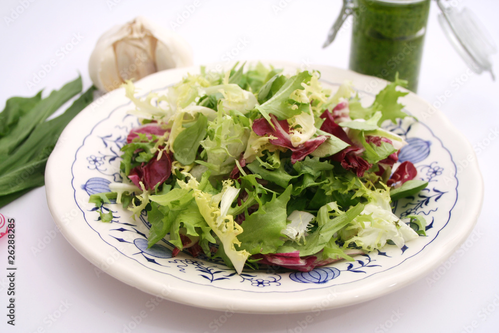 frischer Salat frischer Salat