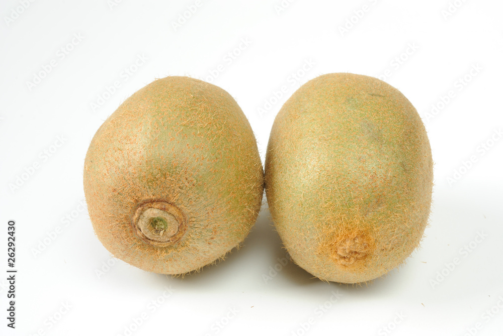 Kiwi Fruit Kiwi Fruit