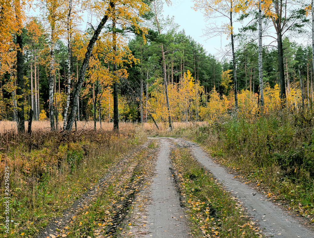 Autumn landscape