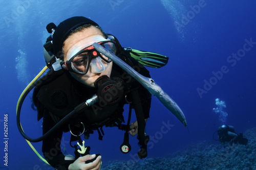 scuba diver and cornett fish