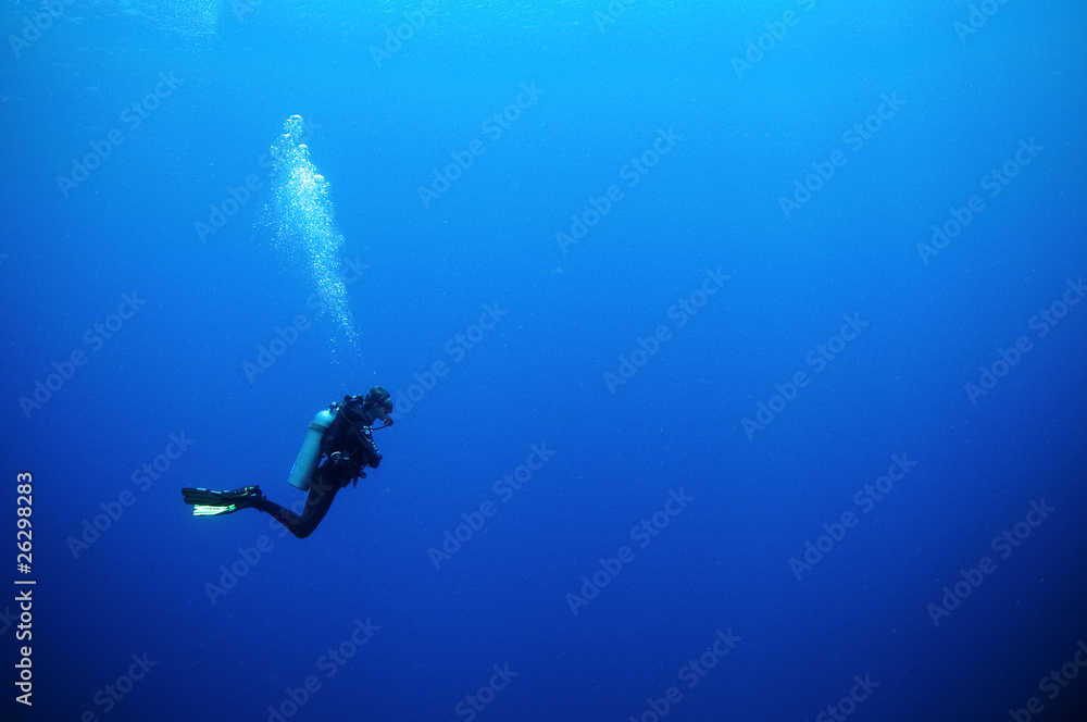 Fototapeta premium scuba diver in deep blue water