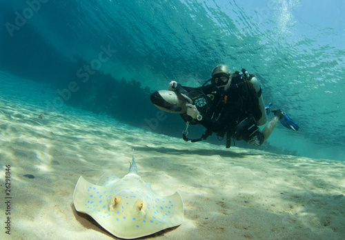 diver on underwater scooter with sting ray