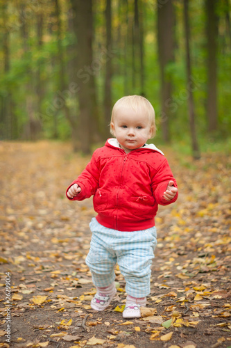 young adorable baby walk by road in leaves in park forest