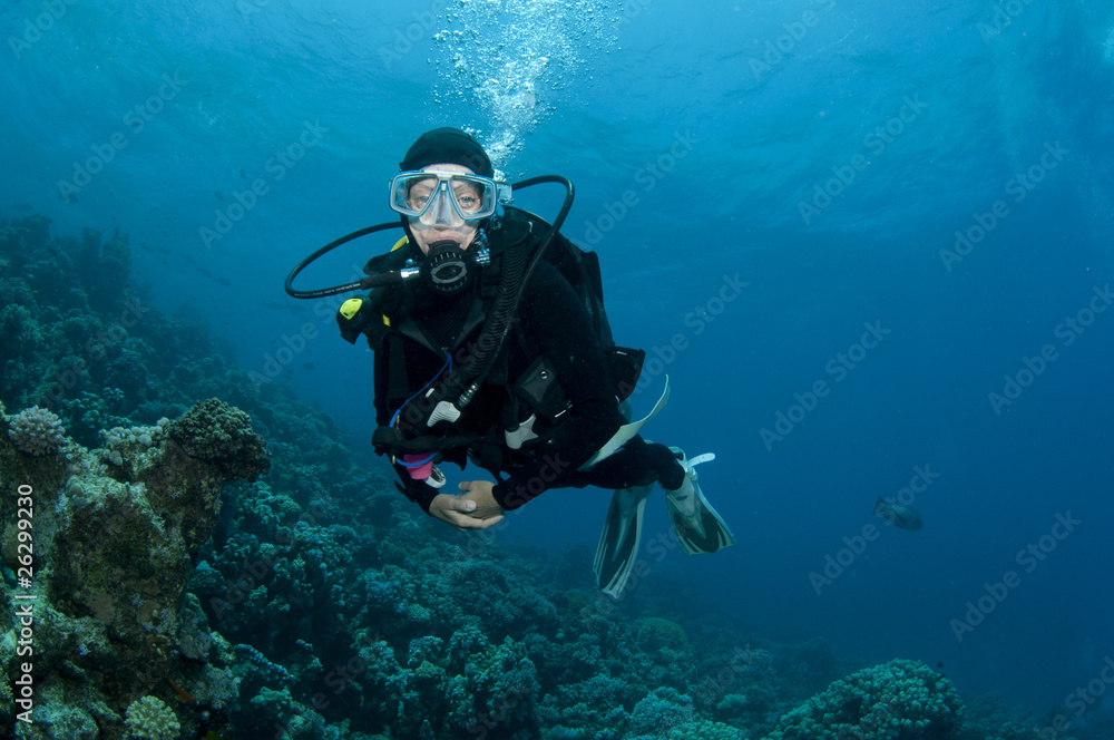 scuba diver scuba diver