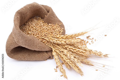 The scattered bag with wheat of a grain
