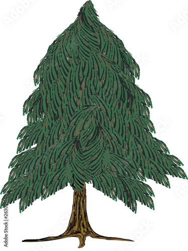Tannenbaum