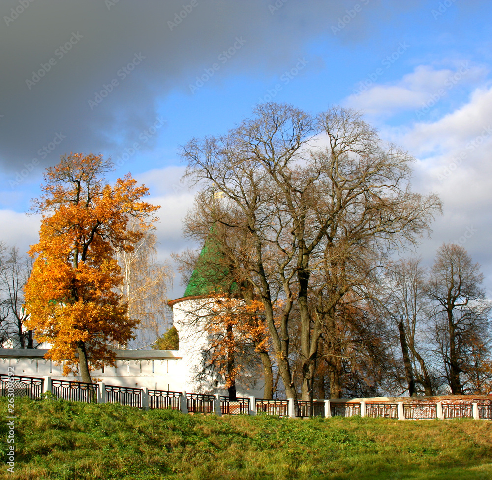 Obraz premium Beautiful landscape in park . Autumn scene
