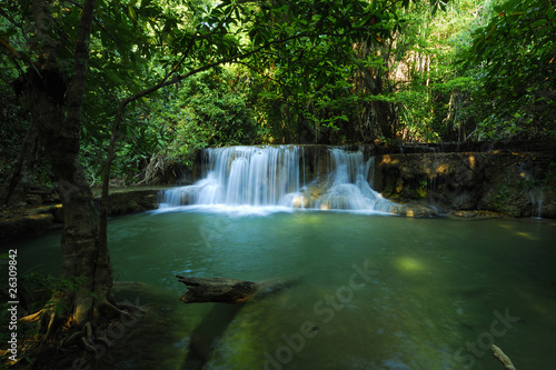 Water fall in deep forest