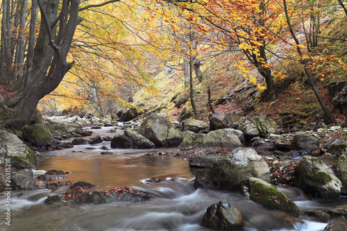 Fototapeta Naklejka Na Ścianę i Meble -  Autumn river