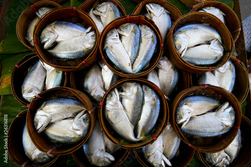 fresh tuna in market  thailand