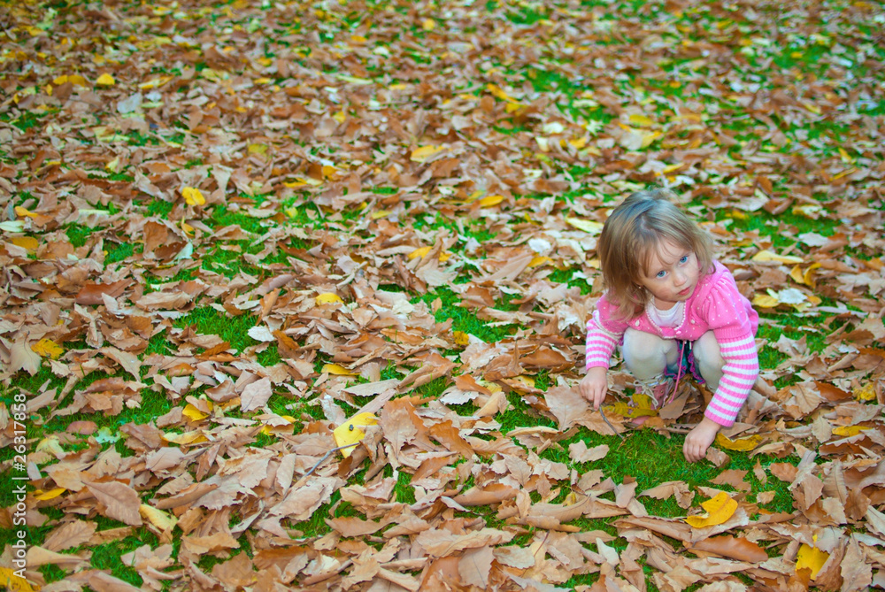 Little girl (3 years old) plays with leaves on the ground Little girl (3 years old) plays with leaves on the ground