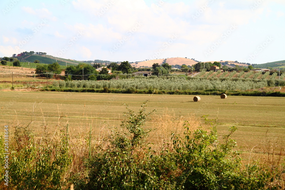 Fototapeta premium Hay field in Tuscany