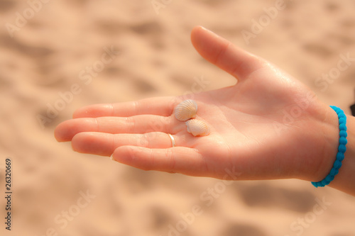 Girl hands with shells © Tomasz Sergej