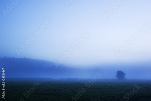 Moody misty foggy morning scene before sunrise