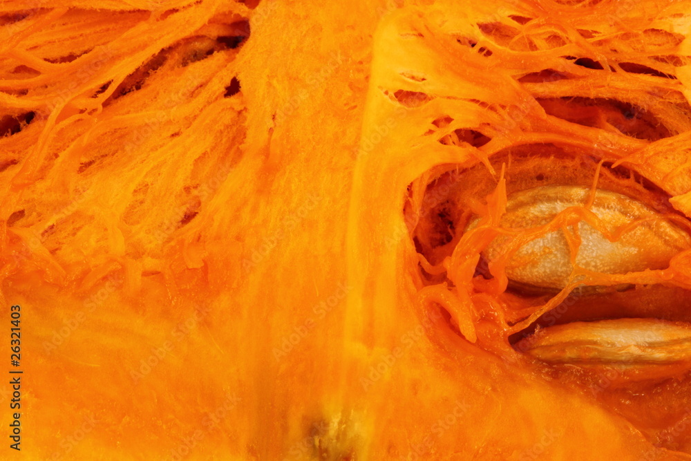 butternut squash butternut squash