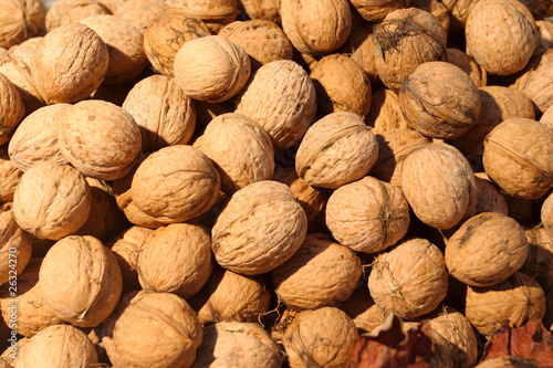 walnut background