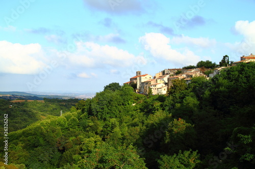 View of Scansano, in the distance
