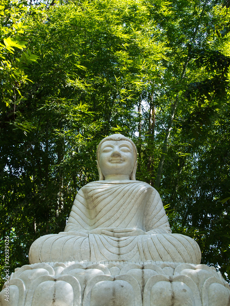 A white Buddha statue in the bamboo forest A white Buddha statue in the bamboo forest