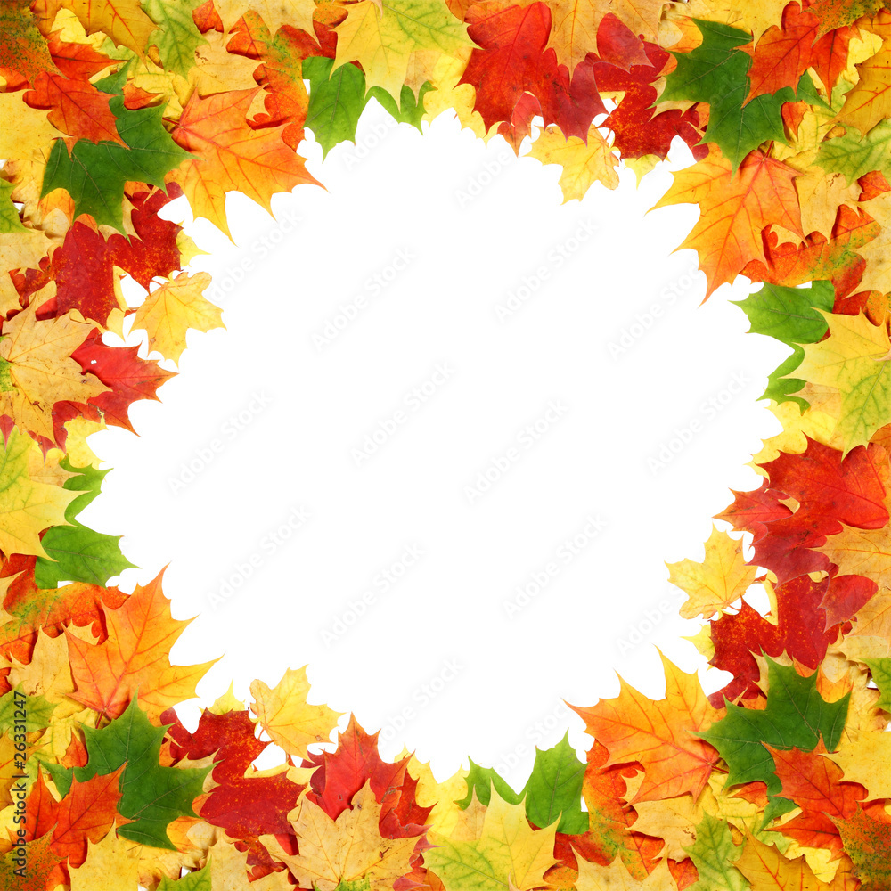 frame leaf frame leaf