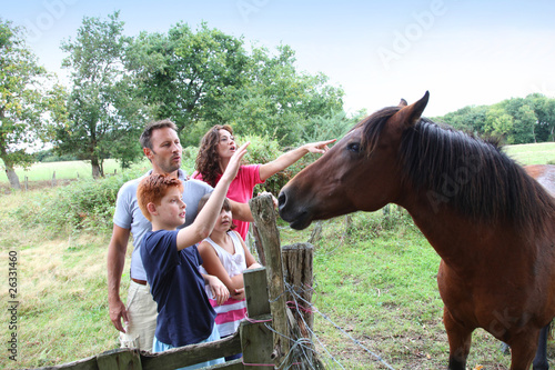 Parents and children petting horses in countryside photo
