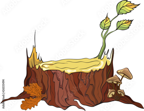 Tree Stub and mushrooms, detailed vector