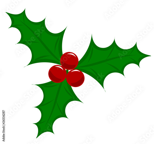 Holly berry vector