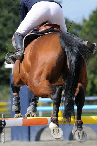 cheval et cavalier au saut d'obstacles