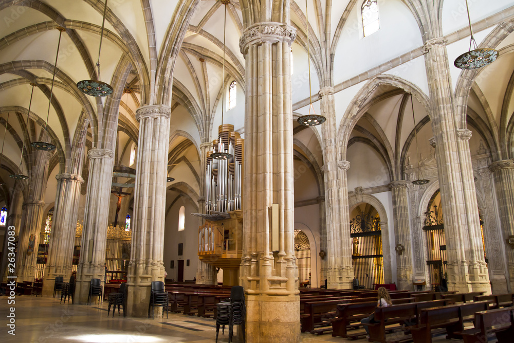 Cathedral nave, a space with Gothic-style columns
