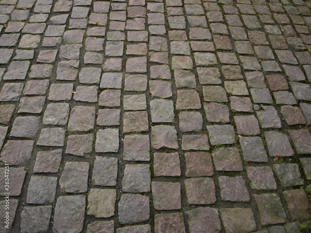 paving stone