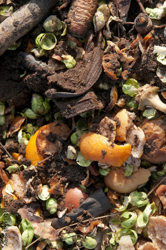 Kitchen waste on a compost heap