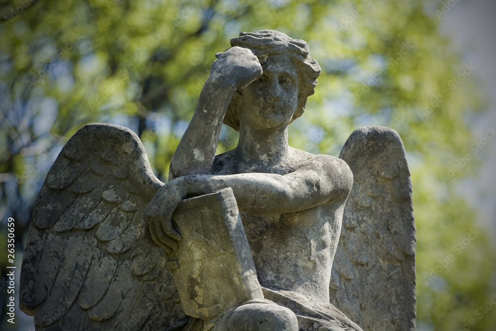 Kamienny cmentarny anioł , pomnik - obrazy, fototapety, plakaty 