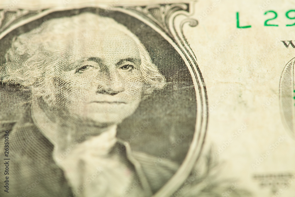 custom made wallpaper toronto digitaldollar