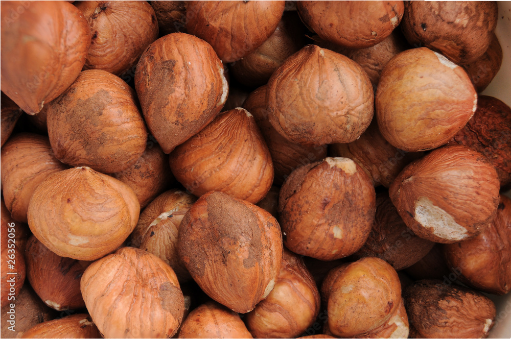 Raw Hazelnuts Closeup Raw Hazelnuts Closeup