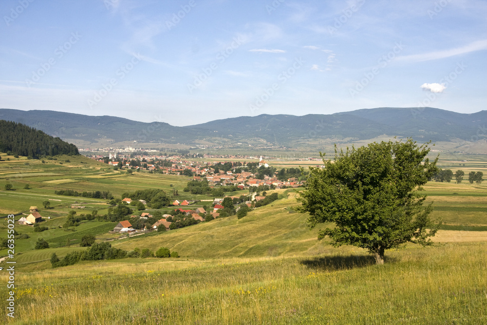 Village Village