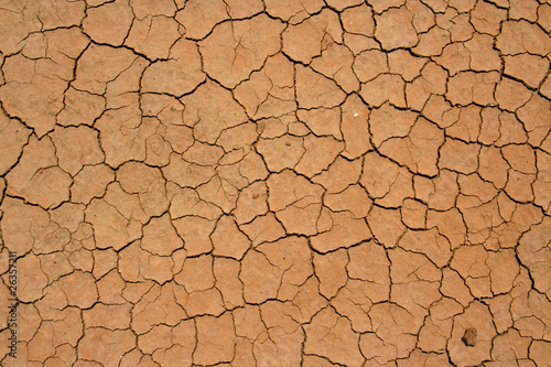 Cracked and dried mud texture